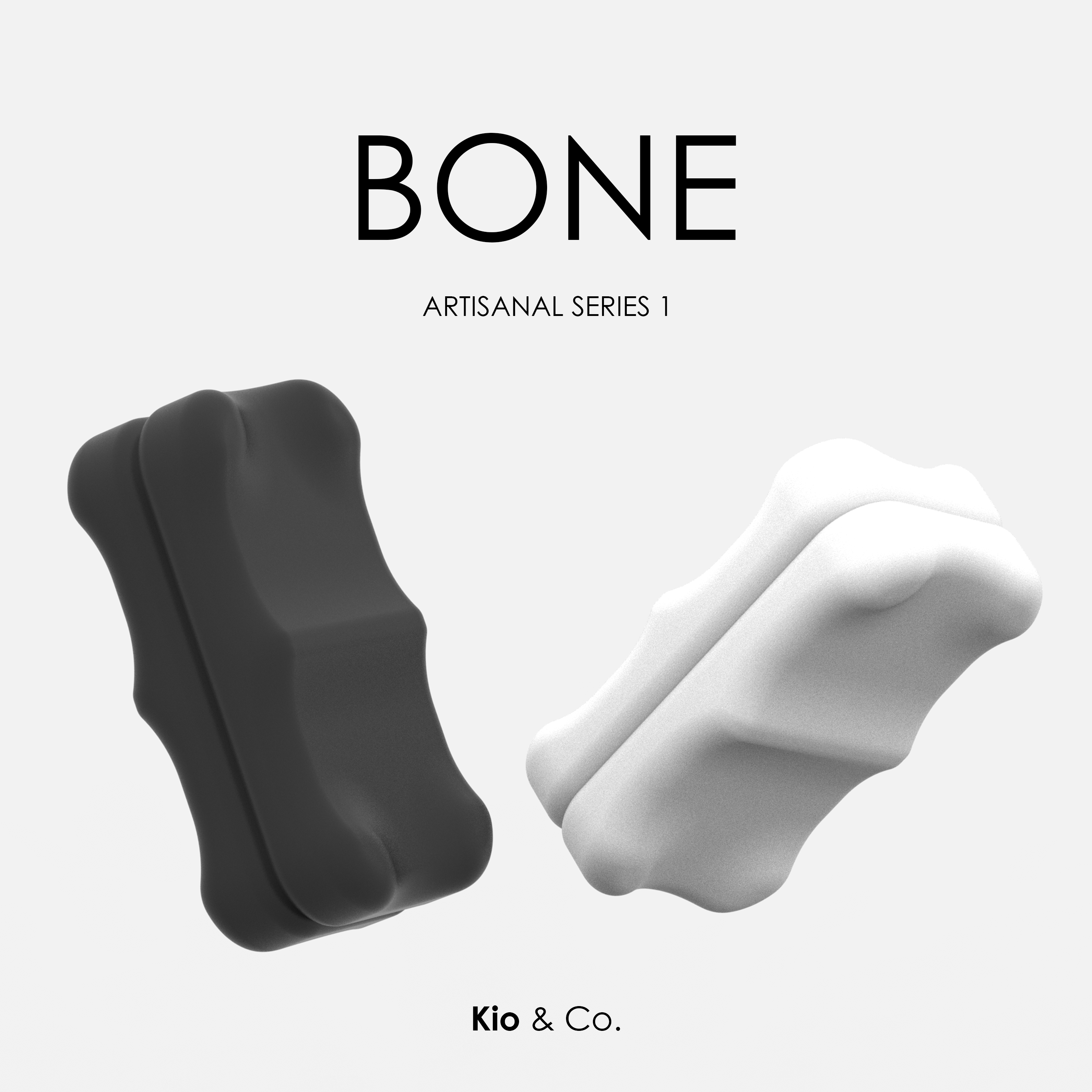 Fidget Slider BONE - Set of 2 Piece + Case