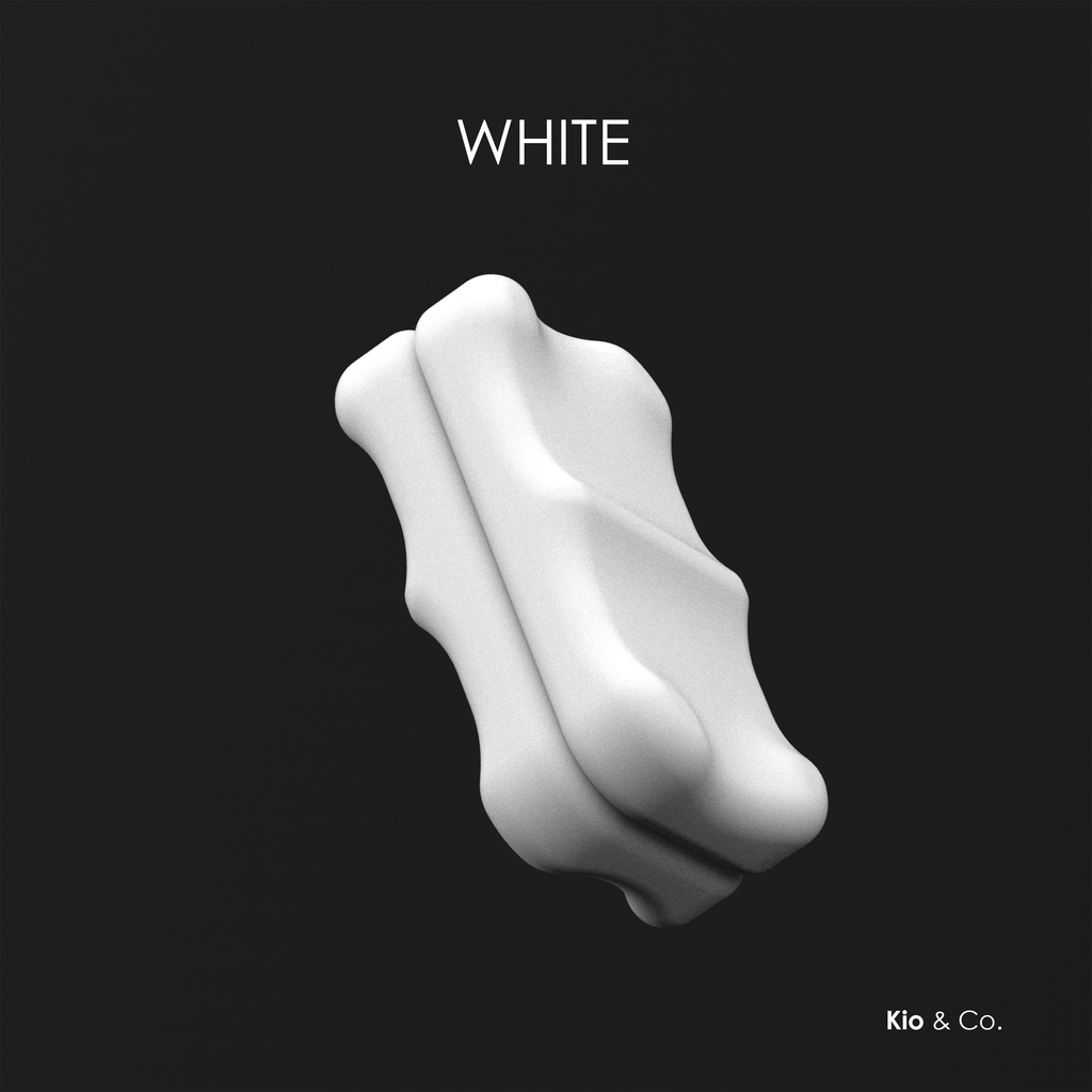 Fidget Slider BONE - Set of 2 Piece + Case