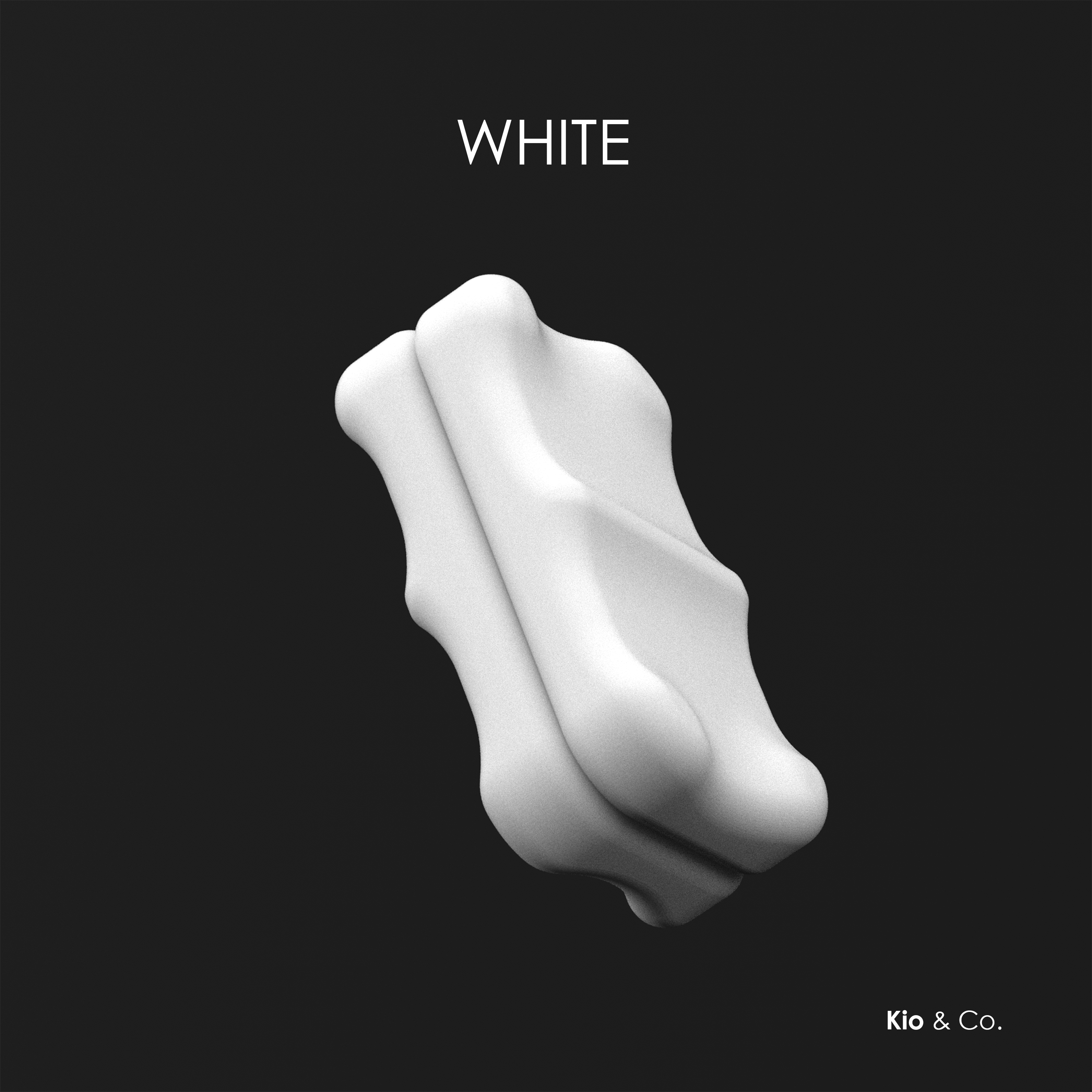 Fidget Slider BONE - Set of 2 Piece + Case