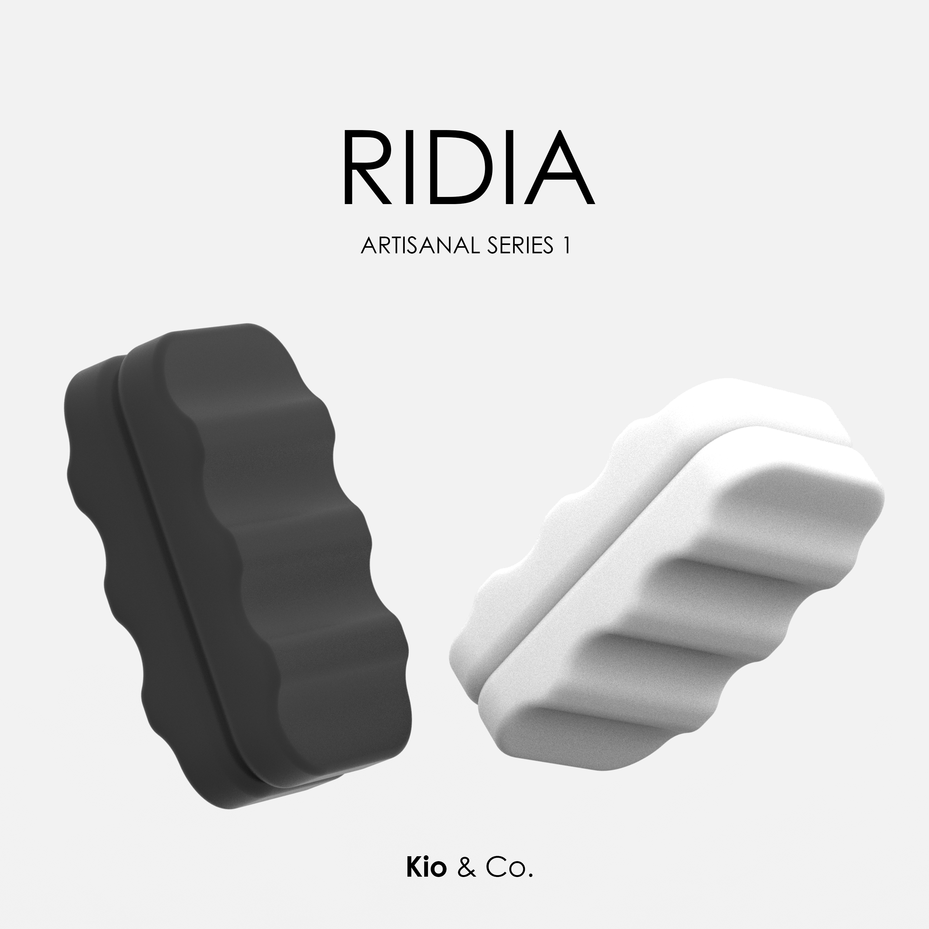 Fidget Slider RIDIA - Set of 2 Piece + Case