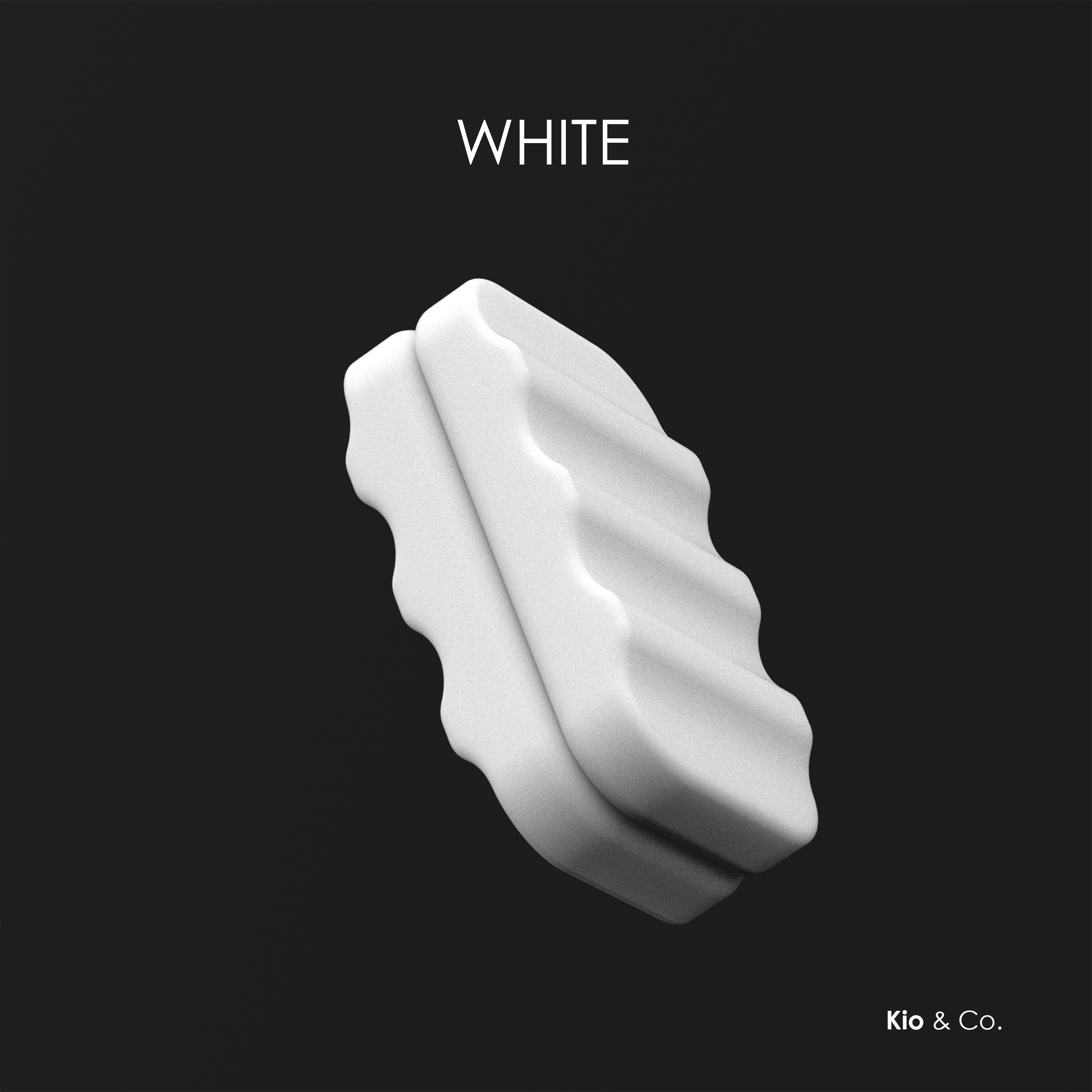 Fidget Slider RIDIA - Set of 2 Piece + Case