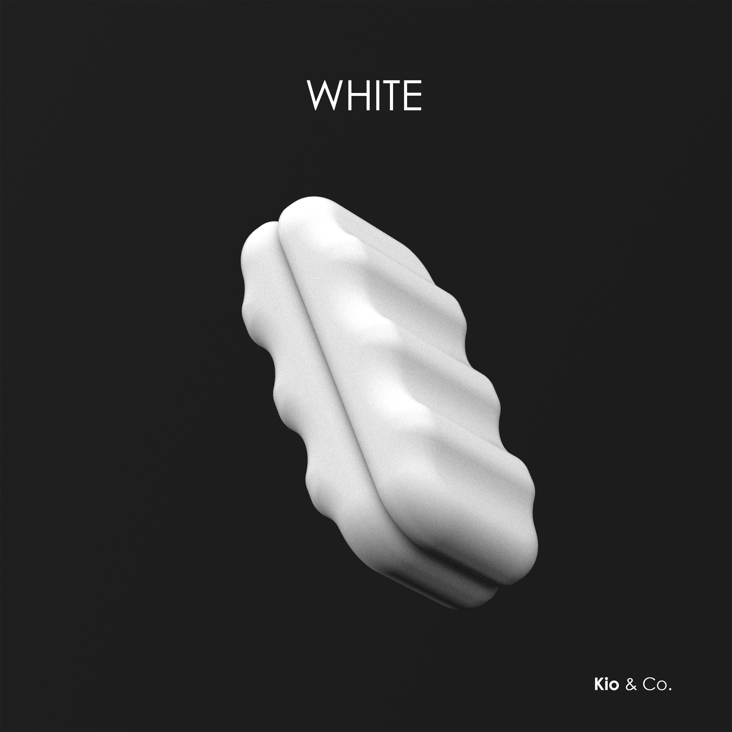 Fidget Slider RIDIA BOLD - Set of 2 Piece + Case